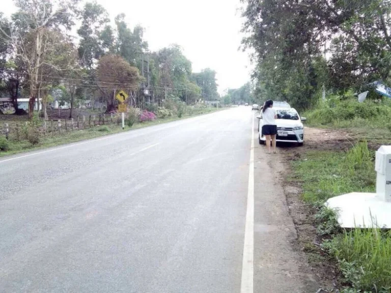 Land in Khao Kitcheng district Chantaburi II ที่ดินในอำเภอเขาคิชกูฎ