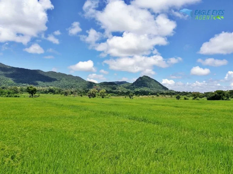 ที่ดิน 7-2-53 ไร่ หน้าติดถนนสันกำแพงสายเก่า 100 เมตร ด้านหลังวิวดอยของถ้ำเมืองออน