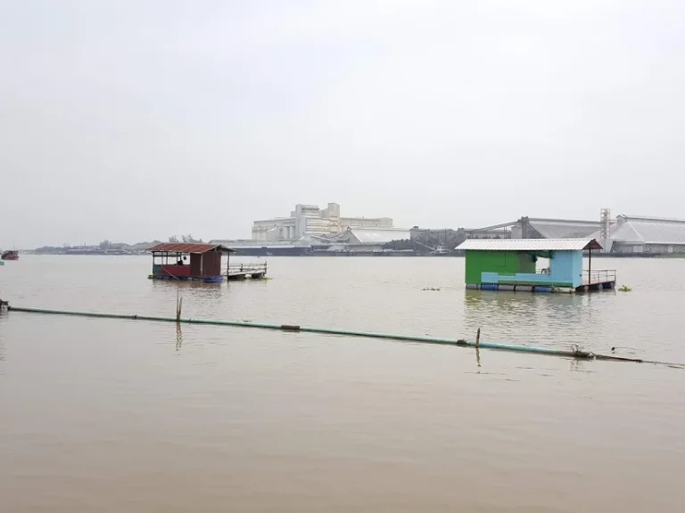 ที่ดินติดแม่น้ำเจ้าพระยา แถวลานเท จพระนครศรีอยุธยา บท 025 ขายที่ดินติดแม่น้ำเจ้าพระยา อบางไทร จพระนครศรีอยุธยา มี 2 แปลง