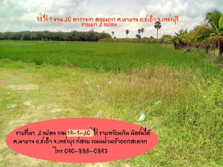 ที่ดิน 19-1-40 ไร่ อชะอำ จเพชรบุรี