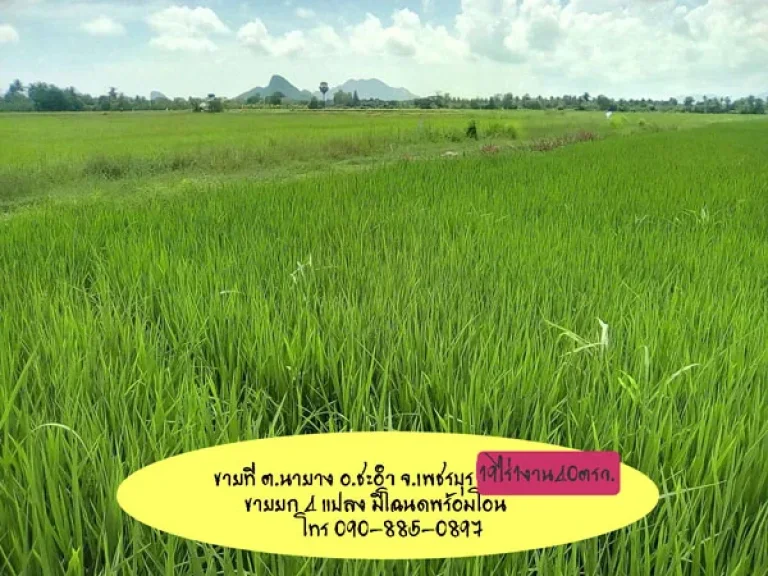 ที่ดิน 19-1-40 ไร่ อชะอำ จเพชรบุรี