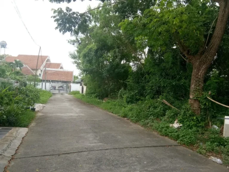 ขายที่ดินบ้านมอญ ห่างเรือนแพ 800 เมตร