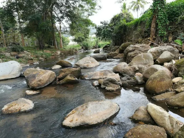 ขายที่ดินบ้านปง เห็นวิวดอย ติดธารน้ำ