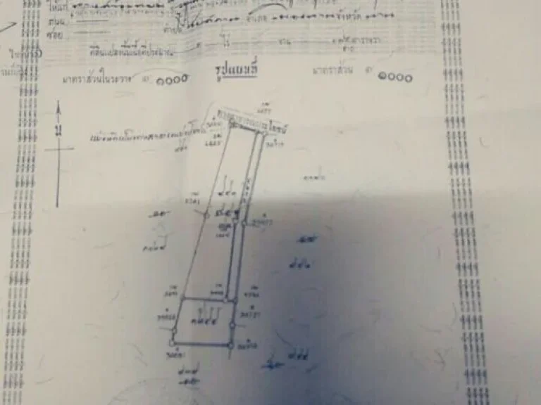 ขายที่ดิน1ไร่1800000ตไชยสถาน