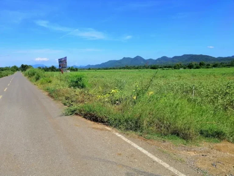 ที่ดินผืนกว้าง แปลงสวย 115-0-63 ไร่ ติดทางสาธารณประโยชน์ เมืองกาญจนบุรี