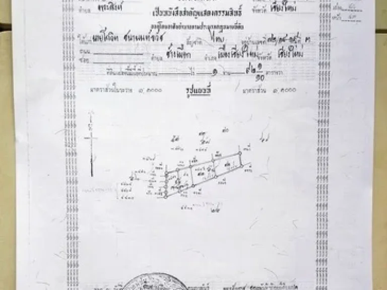 อาคาร 3ชั้นครึ่ง 2คูหา เนื้อที่ 0-2-15 ตำบลพระสิงห์ อำเภอเมือง จังหวัดเชียงใหม่