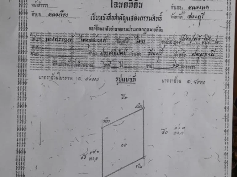 สวนปาล์ม 65 ไร่