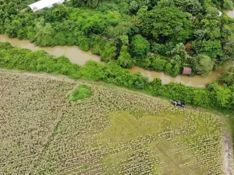 ลดราคาที่ดินใกล้คลองน้ำธรรมชาติ ดินดีเหมาะแก่การเพาะปลูกพืชเพื่อทำกำไร