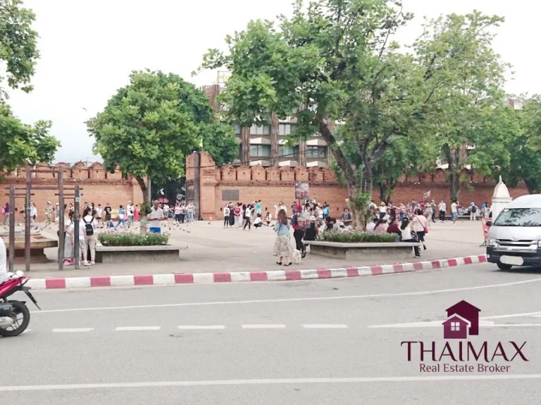 ที่ดินกลางเมืองเชียงใหม่ เนื้อที่ 184 วา เดินไปประตูท่าแพ 4 นาที1LH Land located near Thapae Gate Chiangmai only 4 minutes walk for sale