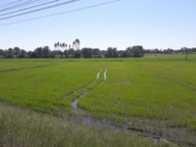 ไร่ หน้าติดทางหลวงแผ่นดิน สายกาญจนบุรี - อู่ทอง 324 ติดถนนราดยาง 4 เลนน์