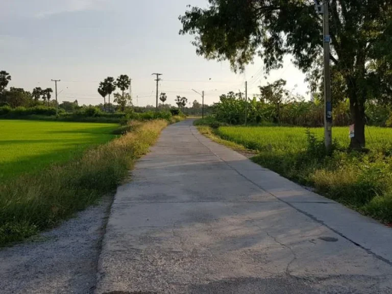 ขายที่ดิน 3 ไร่ ตลิ่งชัน สุพรรณบุรี