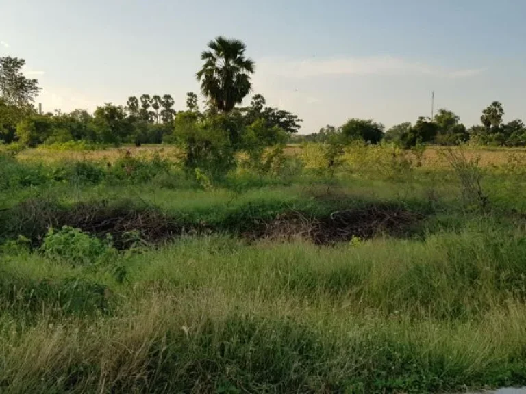 ขายที่ดิน 3 ไร่ ตลิ่งชัน สุพรรณบุรี