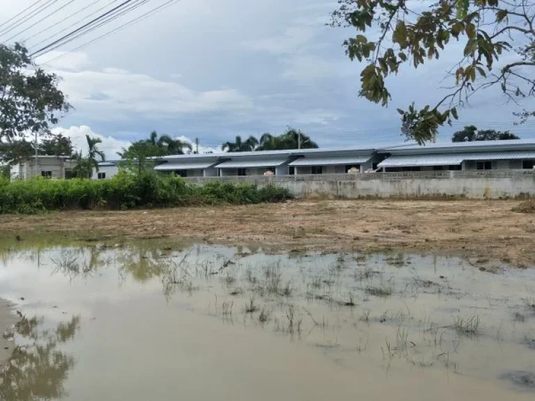 ขายที่ดิน 91 ตรวและ 197 ตรว อยู่ด้านหลังอนามัยหนองตะแบก ตตาขัน อบ้านค่าย จระยอง