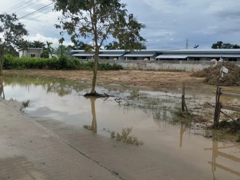 ขายที่ดิน 91 ตรวและ 197 ตรว อยู่ด้านหลังอนามัยหนองตะแบก ตตาขัน อบ้านค่าย จระยอง