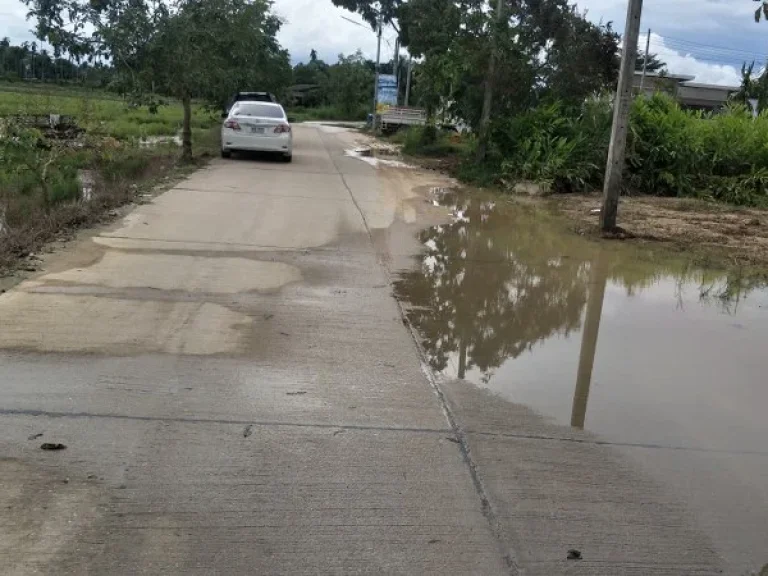 ขายที่ดิน 91 ตรวและ 197 ตรว อยู่ด้านหลังอนามัยหนองตะแบก ตตาขัน อบ้านค่าย จระยอง