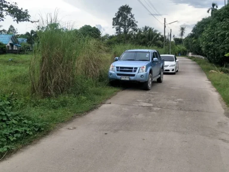 ขายที่ดิน 206 ตรว ซอยสะพานยายคุดนอก ห่างจากวัดบ้านค่ายประมาณ 1 กม ตบ้านค่าย อบ้านค่าย จระยอง