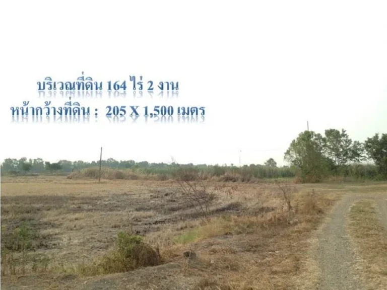 ขายที่ดินติดถนนเลียบคลองระพีพัฒน์แยกตก 164-2-0 ไร่ อวังน้อย อยุธยา ห่างถนนธัญบุรี 352 300 ม