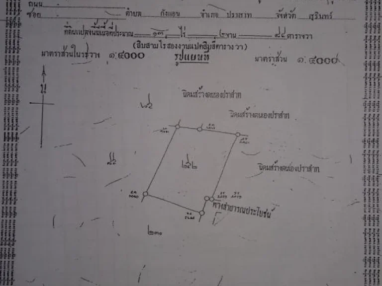 ขายที่ดินทำเลทอง 14 ไร่ ราคาถูก ต่อรองกันได้ ปราสาท