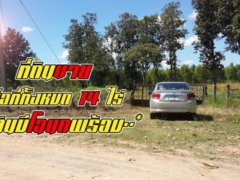 ขายที่ดินทำเลทอง 14 ไร่ ราคาถูก ต่อรองกันได้ ปราสาท