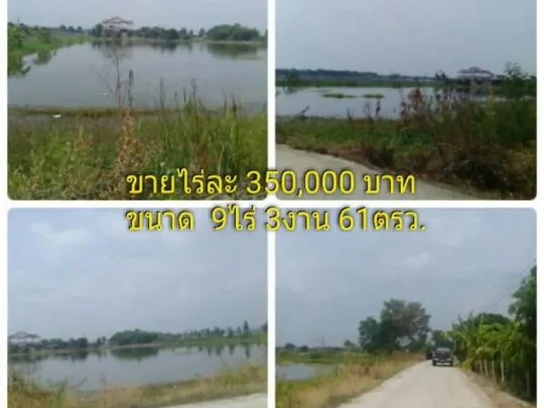 ขายที่ดิน ตบางเลน อสองพี่น้อง จสุพรรณบุรี ขนาดที่ดิน 9 ไร่ 3 งาน 61 ตรว