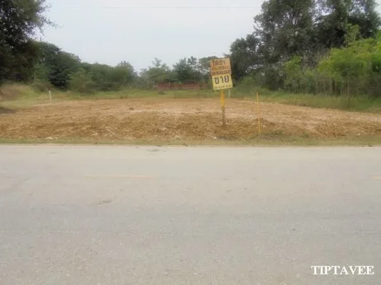 ให้เช่าที่ดินเชียงใหม่ 00016 ขายที่ดินใกล้บ่อสร้าง ต้นเปา สันกำแพง เชียงใหม่Land for Sale-RENT Near Borsang Sankampheang Chiangmai THAILAND