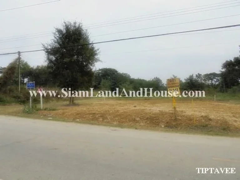 ให้เช่าที่ดินเชียงใหม่ 00016 ขายที่ดินใกล้บ่อสร้าง ต้นเปา สันกำแพง เชียงใหม่Land for Sale-RENT Near Borsang Sankampheang Chiangmai THAILAND