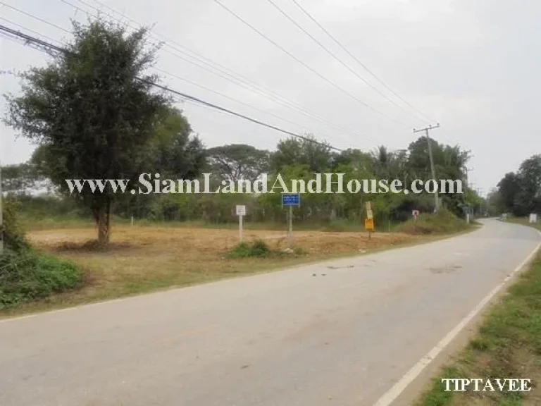 ให้เช่าที่ดินเชียงใหม่ 00016 ขายที่ดินใกล้บ่อสร้าง ต้นเปา สันกำแพง เชียงใหม่Land for Sale-RENT Near Borsang Sankampheang Chiangmai THAILAND