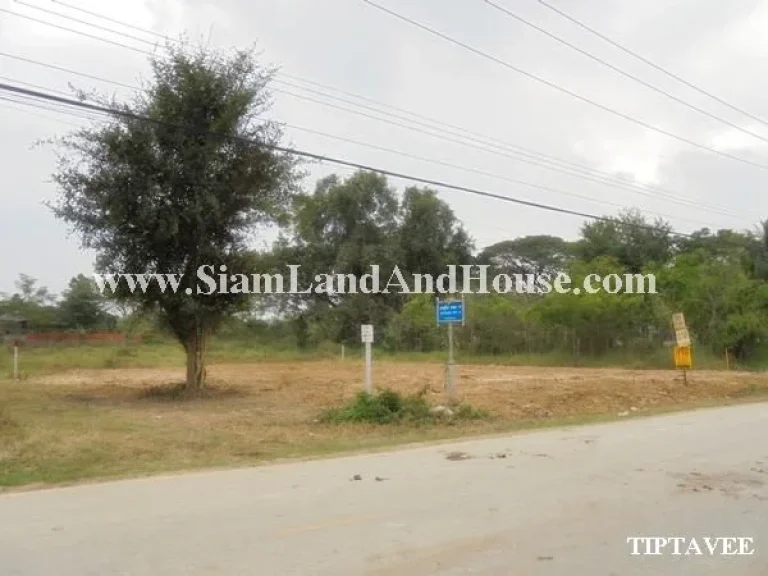 ให้เช่าที่ดินเชียงใหม่ 00016 ขายที่ดินใกล้บ่อสร้าง ต้นเปา สันกำแพง เชียงใหม่Land for Sale-RENT Near Borsang Sankampheang Chiangmai THAILAND