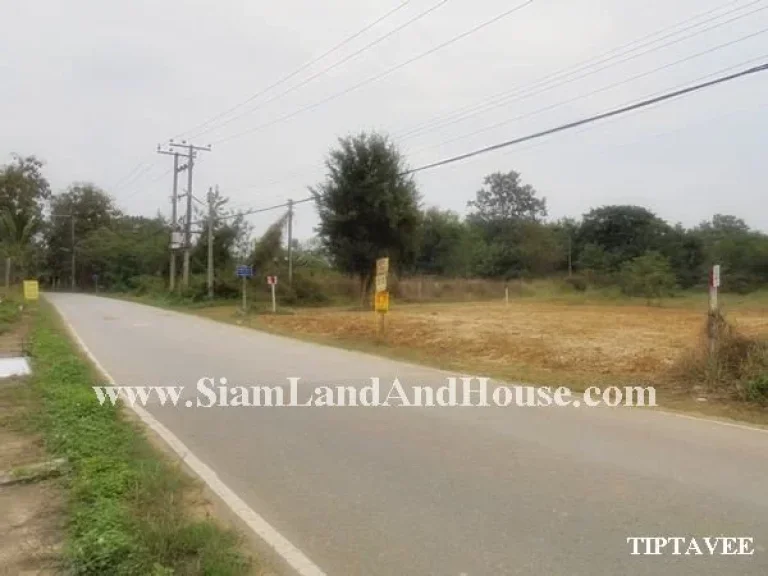 ให้เช่าที่ดินเชียงใหม่ 00016 ขายที่ดินใกล้บ่อสร้าง ต้นเปา สันกำแพง เชียงใหม่Land for Sale-RENT Near Borsang Sankampheang Chiangmai THAILAND