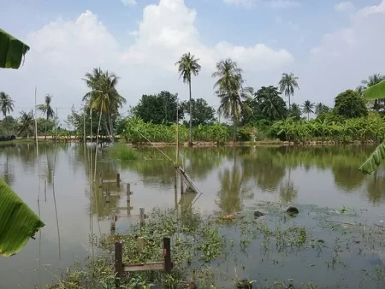 ขายที่ดินสวย ติดริมคลองฉาง อยู่ติดถนนพุทธมณฑลสาย 5 เนื้อที่ 1 ไร่ 3 งาน 24 ตรว