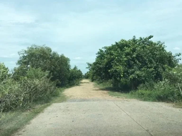 ที่ดินเปล่า ตำบลคลองสอง อำเภอคลองหลวง ปทุมธานี 200 ตรว