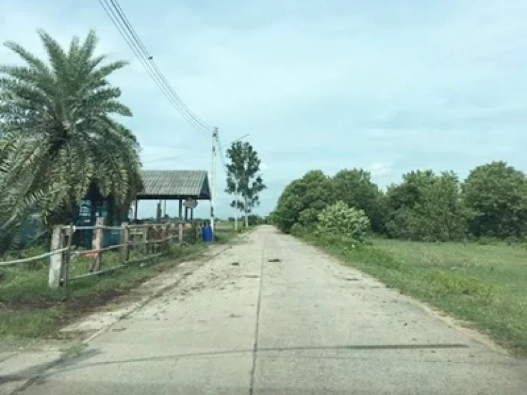 ที่ดินเปล่า ตำบลคลองสอง อำเภอคลองหลวง ปทุมธานี 200 ตรว