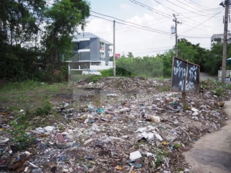 ที่ดินเปล่า เนื้อที่ 60 ตรว ถนนราชพฤกษ์ อบางบัวทอง นนทบุรี