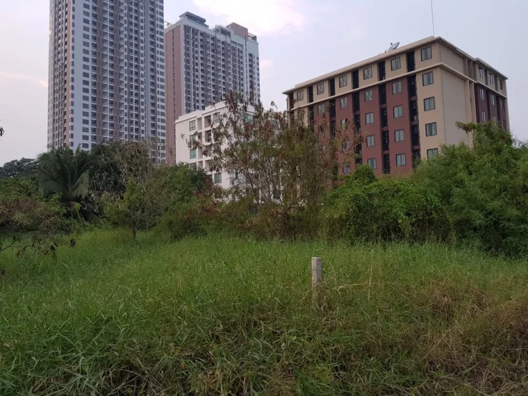 Land for Sale - Land 1785 sqWa Intamara 3 Private Zone Near BTS Sapankwai