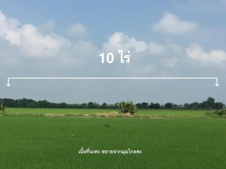 ขายบ้านพร้อมที่ดิน 10ไร่ สุพรรณบุรี ตท่าเสด็จ