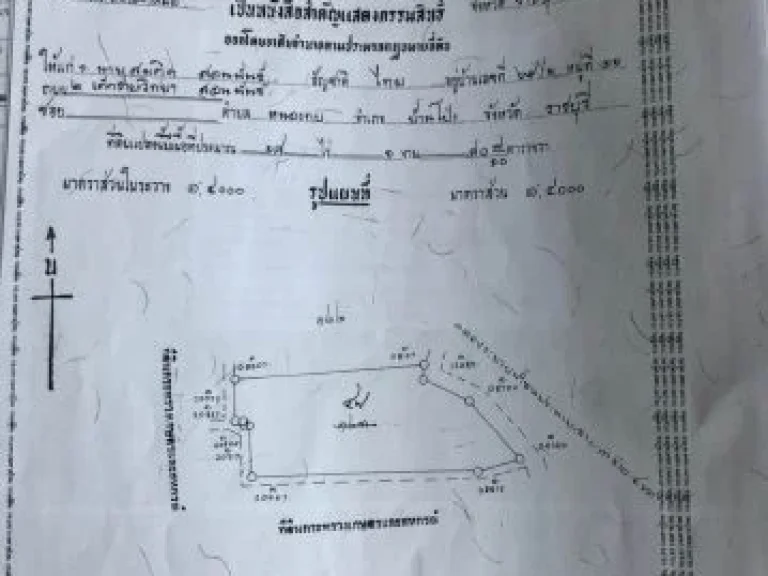 ขายด่วน ที่นา ราคาถูก อำเภอบ้านโป่ง จังหวัดราชบุรี มีเนื้อที่ 18 ไร่ 1 งาน 80 ตรว