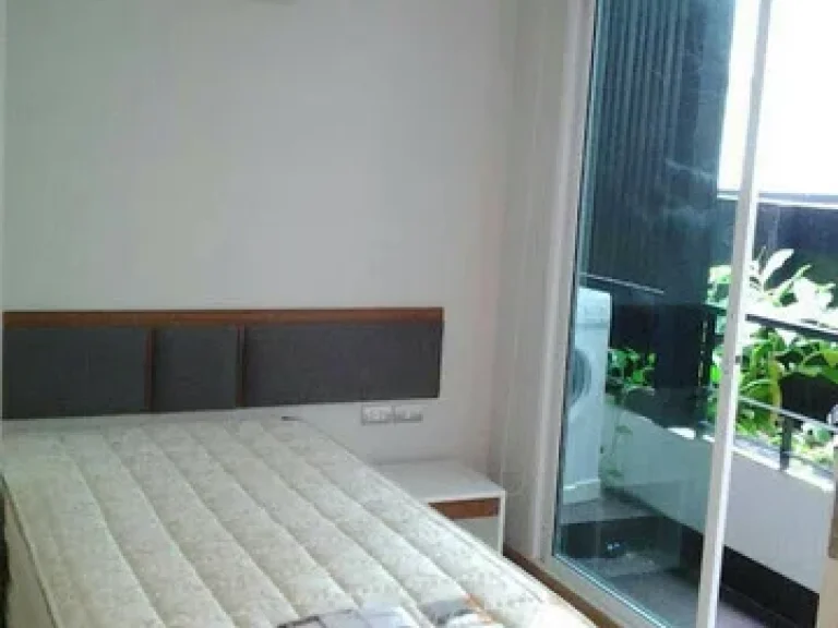 Tree Condo Sukhumvit 52 For Rent 2 bedrooms 1 bathrooms 52 sqm