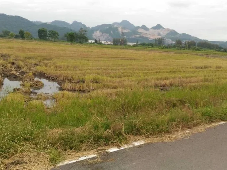 ขาย ที่ดินเปล่า เนื้อที่ 3 ไร่ ตหนองแก อพระพุทธบาท สระบุรี