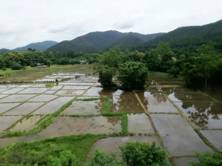 ที่วิวภูเขา ดอยสะเก็ด เชียงใหม่