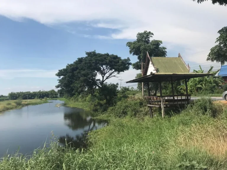 ขายที่ดิน อสองพี่น้อง จสุพรรณบุรี