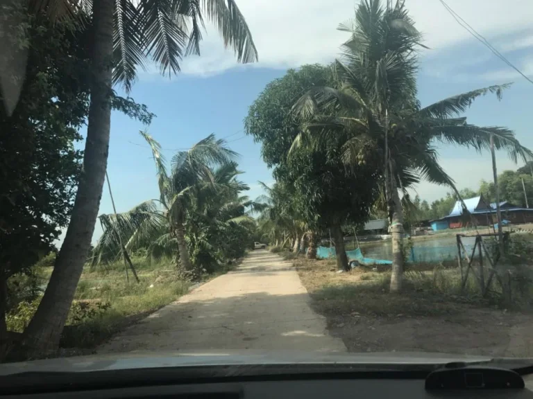 ขายที่ดิน อสองพี่น้อง จสุพรรณบุรี