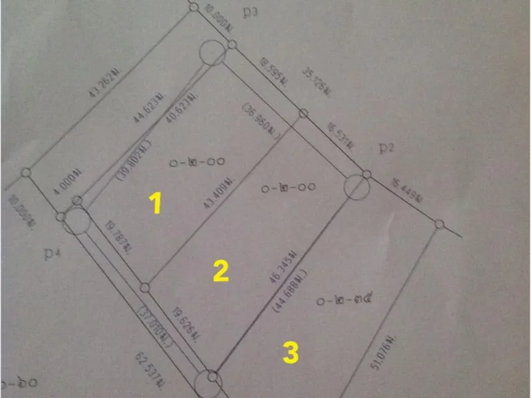 ที่ดิน นส3ก 200 ตรวในเขตเทศบาลชัชป่าหวาย ประปา ไฟฟ้า