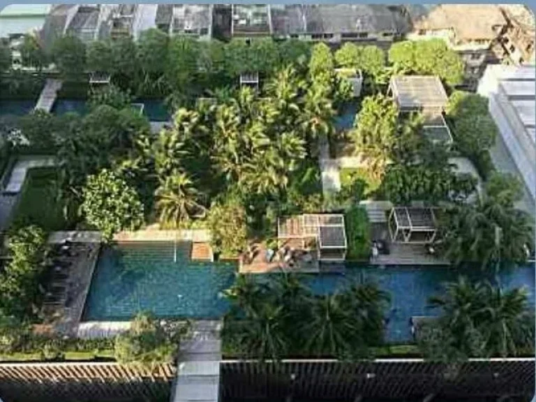 The River Charoenakorn Soi 13 1 bedroom Peninsula View for Sell Tower A