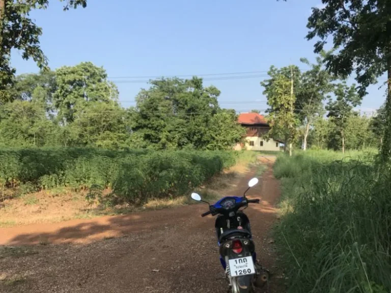 ขายที่ดิน หนองไผ่ เพชรบูรณ์