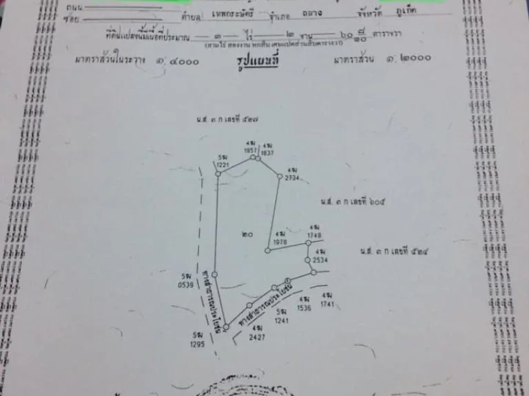 แปลงที่20 ขายที่ดินทั้งแปลง ก่อนถึงโรงเรียนบ้านอ่าวปอ ตป่าคลอก อถลาง ภูเก็ต