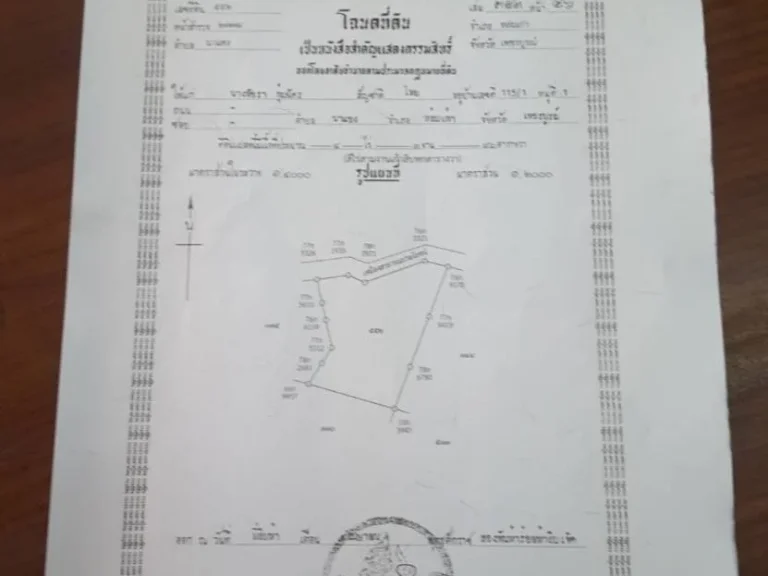 ขายที่ดินใกล้ถนนสาธารณะ แหล่งท่องเที่ยว เหมาะกับการทำเกษตรและที่อยู่อาศัย