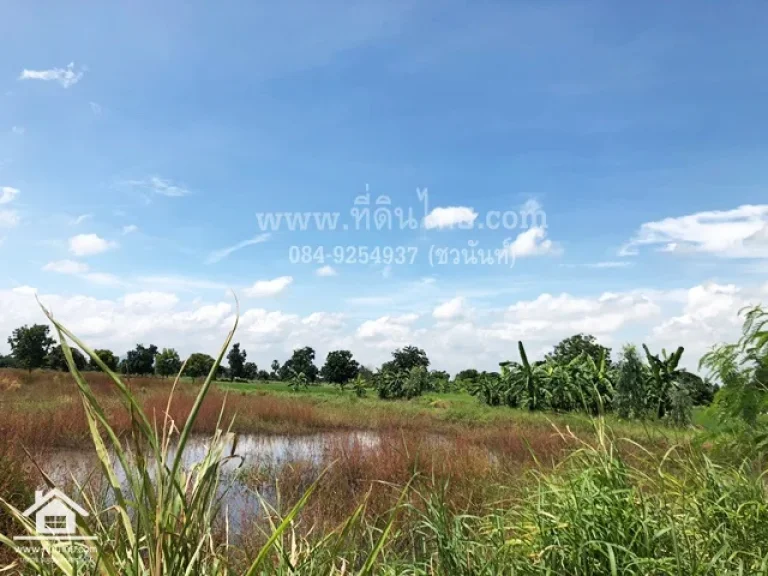 ขายที่ดินลพบุรี 5ไร่ โฉนด ตเพนียด อโคกสำโรง จลพบุรี รหัส L120