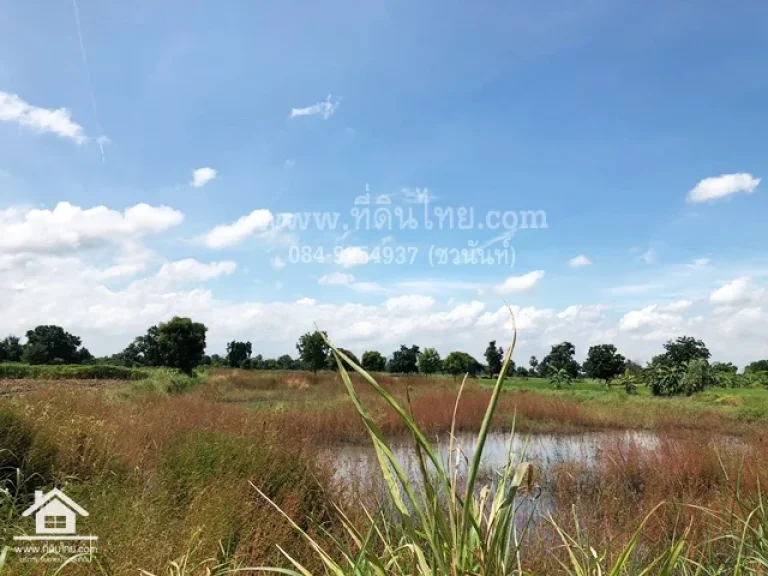 ขายที่ดินลพบุรี 5ไร่ โฉนด ตเพนียด อโคกสำโรง จลพบุรี รหัส L120