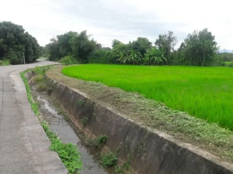 ขายที่ดินหลังตลาดหางดง เห็นวิวดอย ราคาถูก