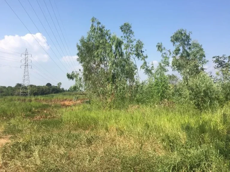 ที่ดินเปล่า บ้านหนองแวง ตำบลท่าพระ อำเภอเมือง จังหวัดขอนแก่น เจ้าของขายถูกมาก